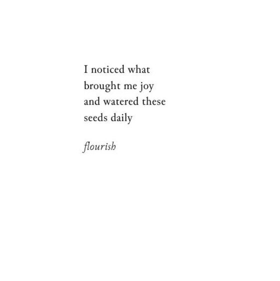 I noticed what brought me joy and watered these seeds daily — Flourish